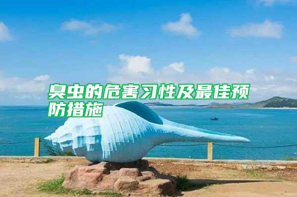 臭蟲的危害習(xí)性及最佳預(yù)防措施