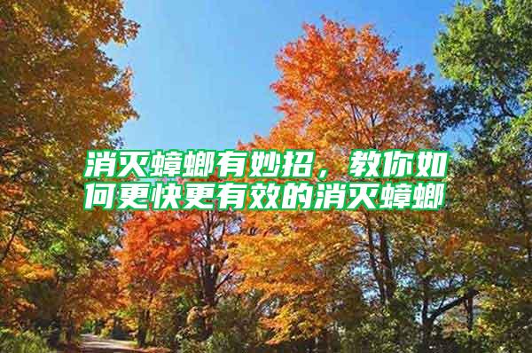 消滅蟑螂有妙招，教你如何更快更有效的消滅蟑螂