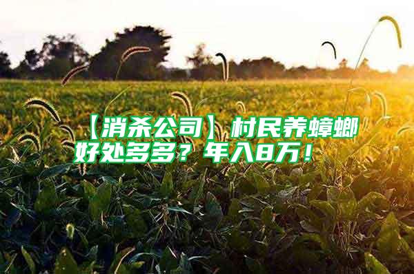 【消殺公司】村民養(yǎng)蟑螂好處多多？年入8萬(wàn)！