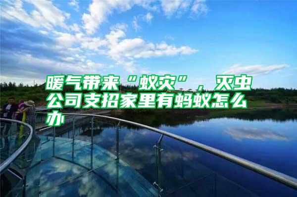 暖氣帶來(lái)“蟻災(zāi)”，滅蟲公司支招家里有螞蟻怎么辦