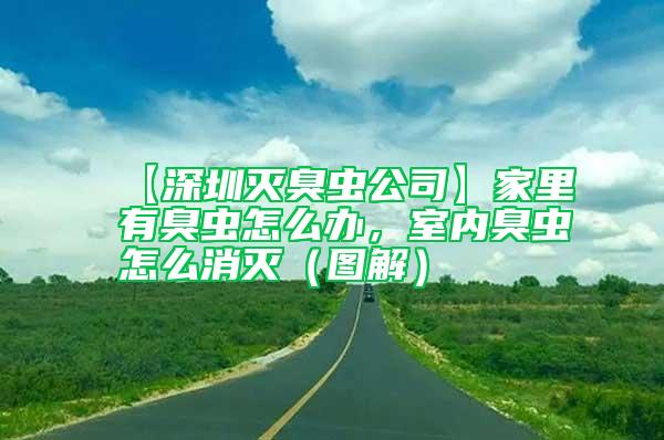 【深圳滅臭蟲公司】家里有臭蟲怎么辦，室內(nèi)臭蟲怎么消滅（圖解）