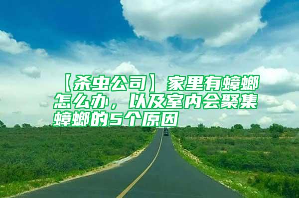 【殺蟲公司】家里有蟑螂怎么辦，以及室內會聚集蟑螂的5個原因