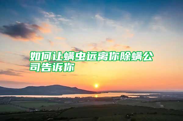 如何讓螨蟲(chóng)遠(yuǎn)離你除螨公司告訴你