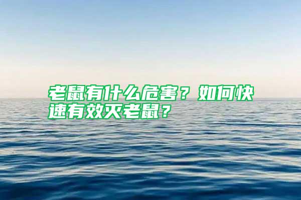 老鼠有什么危害？如何快速有效滅老鼠？