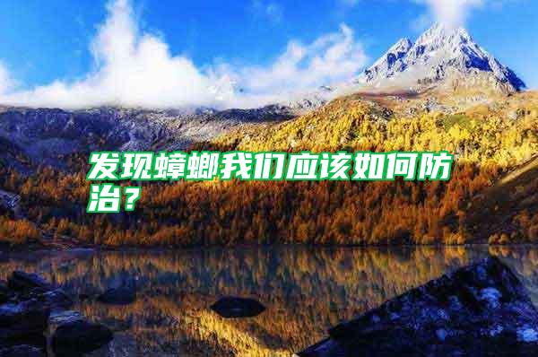 發現蟑螂我們應該如何防治？