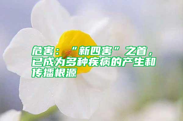 危害：“新四害”之首，已成為多種疾病的產生和傳播根源
