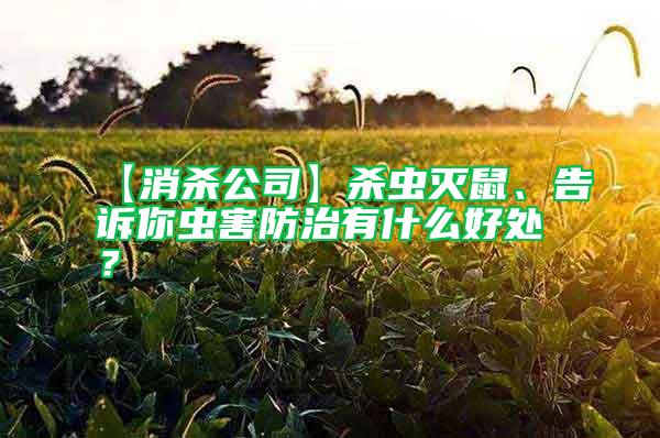 【消殺公司】殺蟲滅鼠、告訴你蟲害防治有什么好處？