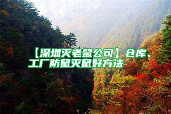 【深圳滅老鼠公司】倉庫、工廠防鼠滅鼠好方法