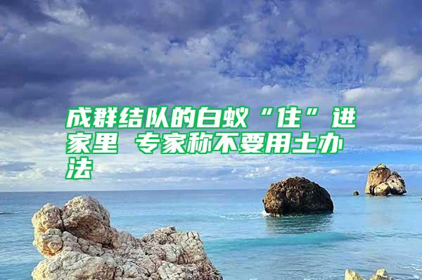 成群結(jié)隊的白蟻“住”進(jìn)家里 專家稱不要用土辦法