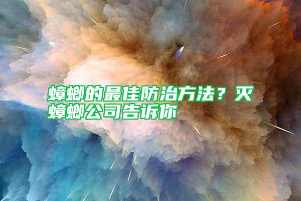 蟑螂的最佳防治方法？滅蟑螂公司告訴你