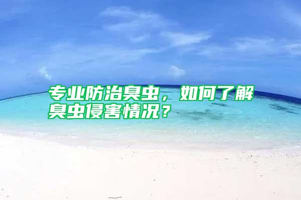 專業(yè)防治臭蟲，如何了解臭蟲侵害情況？
