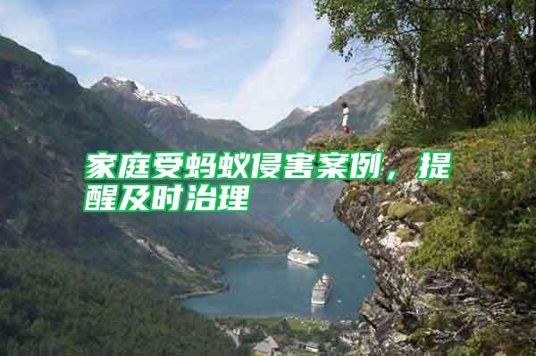 家庭受螞蟻侵害案例，提醒及時治理