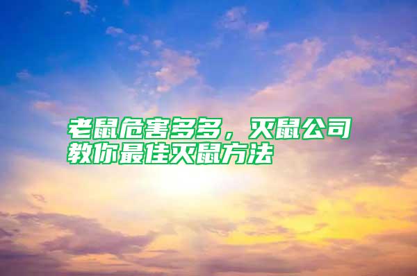 老鼠危害多多，滅鼠公司教你最佳滅鼠方法