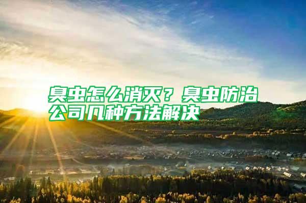 臭蟲怎么消滅？臭蟲防治公司幾種方法解決