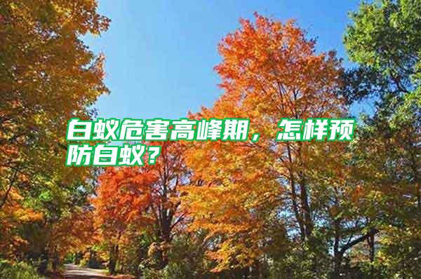 白蟻危害高峰期，怎樣預防白蟻？