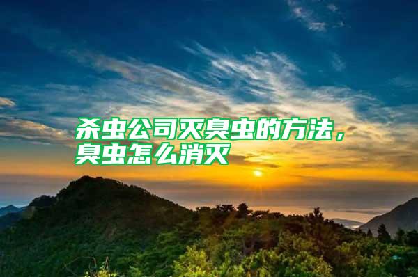 殺蟲公司滅臭蟲的方法，臭蟲怎么消滅