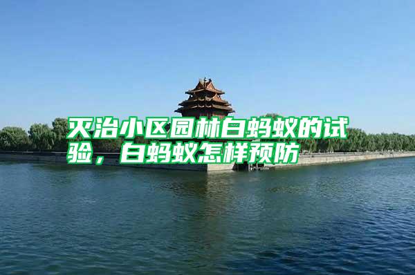 滅治小區(qū)園林白螞蟻的試驗(yàn)，白螞蟻怎樣預(yù)防
