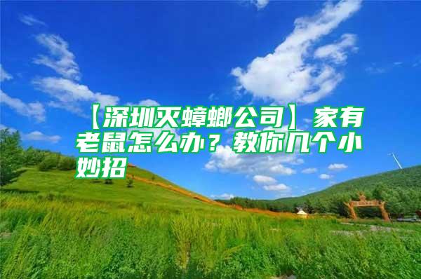 【深圳滅蟑螂公司】家有老鼠怎么辦？教你幾個(gè)小妙招