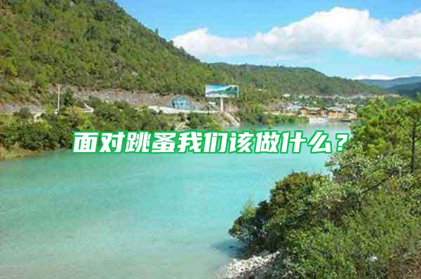 面對跳蚤我們該做什么？