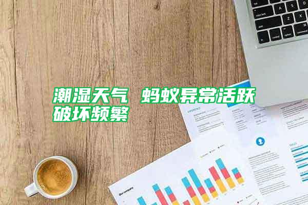 潮濕天氣 螞蟻異?；钴S破壞頻繁