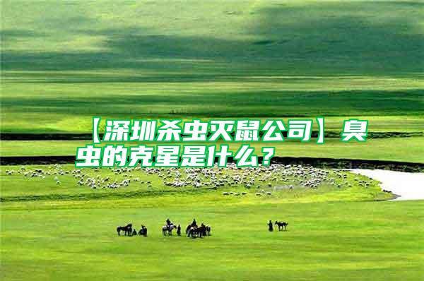 【深圳殺蟲滅鼠公司】臭蟲的克星是什么？