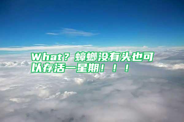 What？蟑螂沒有頭也可以存活一星期?。。?/></p>
             <p style=