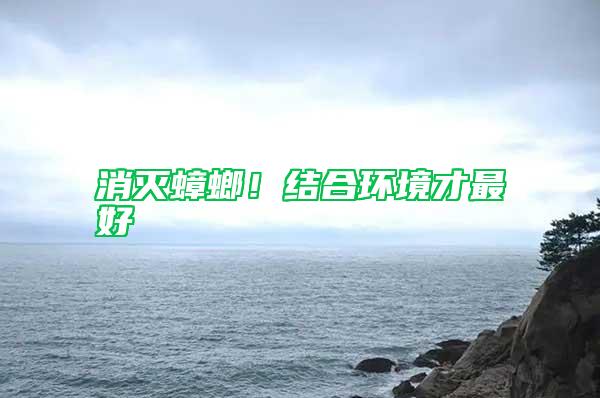 消滅蟑螂！結合環境才最好