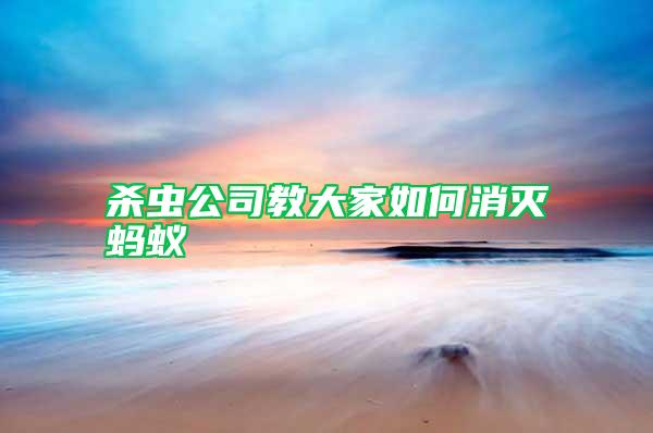 殺蟲(chóng)公司教大家如何消滅螞蟻