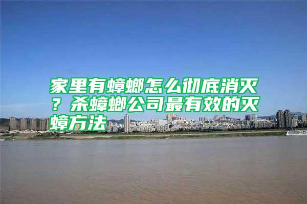 家里有蟑螂怎么徹底消滅？殺蟑螂公司最有效的滅蟑方法