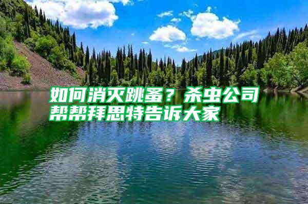 如何消滅跳蚤？殺蟲(chóng)公司幫幫拜思特告訴大家