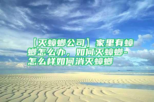 【滅蟑螂公司】家里有蟑螂怎么辦，如何滅蟑螂-怎么樣如何消滅蟑螂