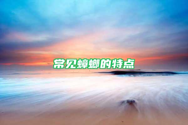 常見(jiàn)蟑螂的特點(diǎn)