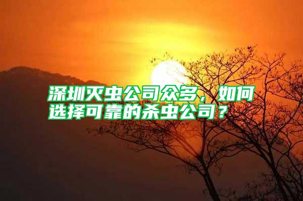深圳滅蟲公司眾多，如何選擇可靠的殺蟲公司？