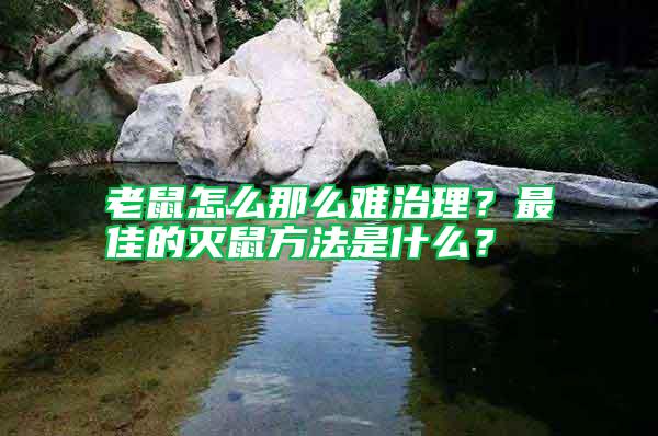 老鼠怎么那么難治理？最佳的滅鼠方法是什么？