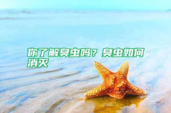 你了解臭蟲嗎？臭蟲如何消滅