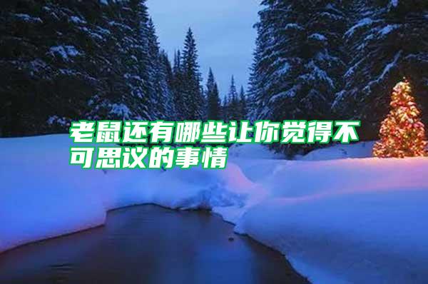 老鼠還有哪些讓你覺(jué)得不可思議的事情