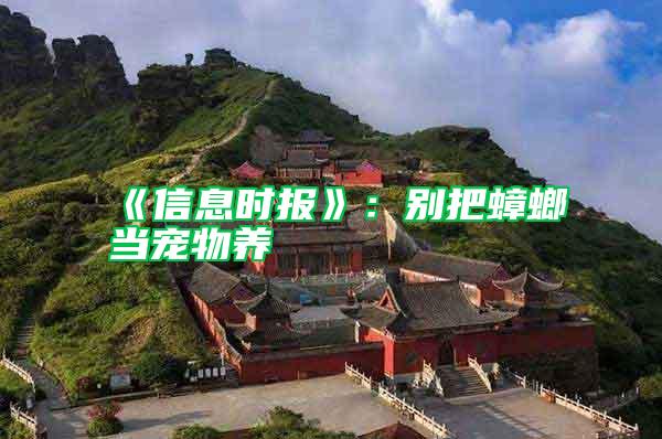 《信息時(shí)報(bào)》：別把蟑螂當(dāng)寵物養(yǎng)