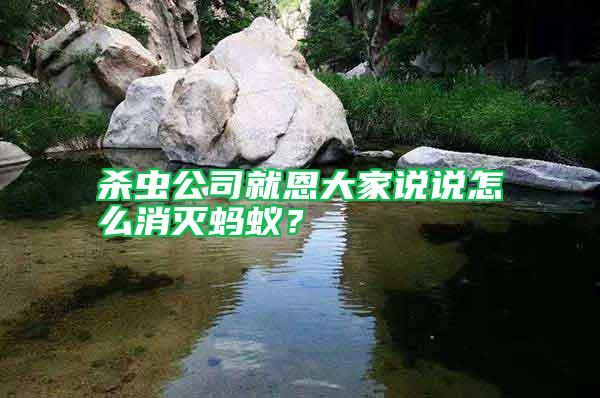殺蟲公司就恩大家說說怎么消滅螞蟻？