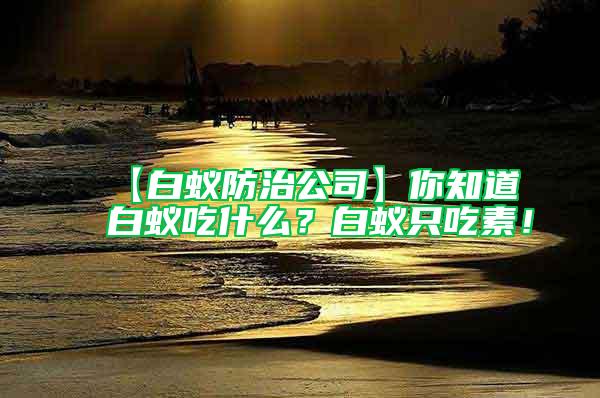 【白蟻防治公司】你知道白蟻吃什么？白蟻只吃素！