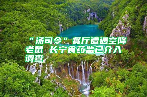 “湯司令”餐廳遭遇空降老鼠 長(zhǎng)寧食藥監(jiān)已介入調(diào)查