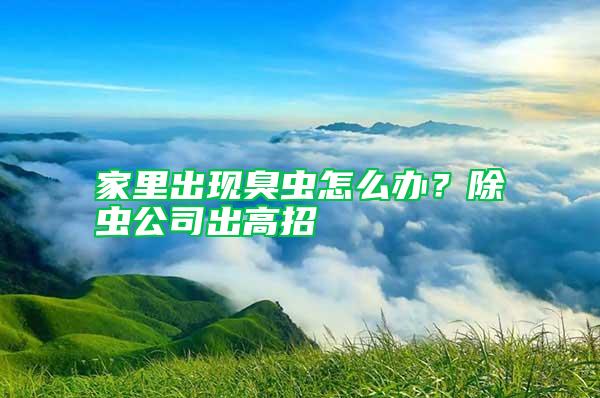 家里出現臭蟲怎么辦？除蟲公司出高招