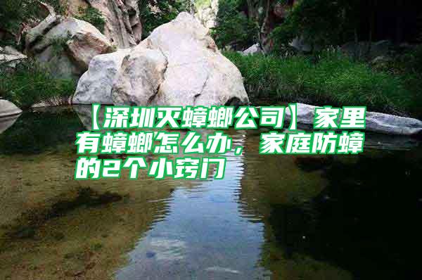 【深圳滅蟑螂公司】家里有蟑螂怎么辦，家庭防蟑的2個小竅門