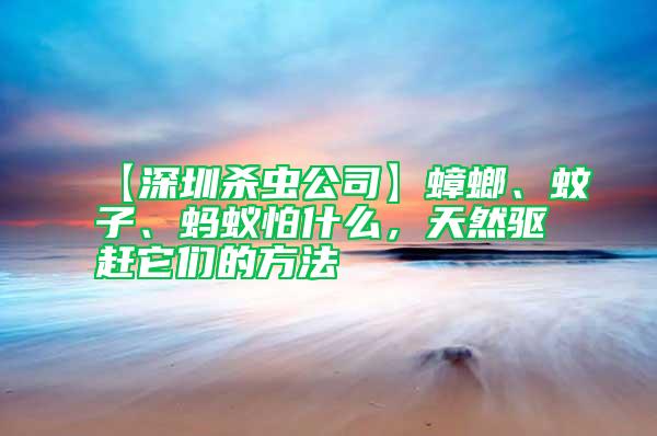 【深圳殺蟲公司】蟑螂、蚊子、螞蟻怕什么，天然驅趕它們的方法