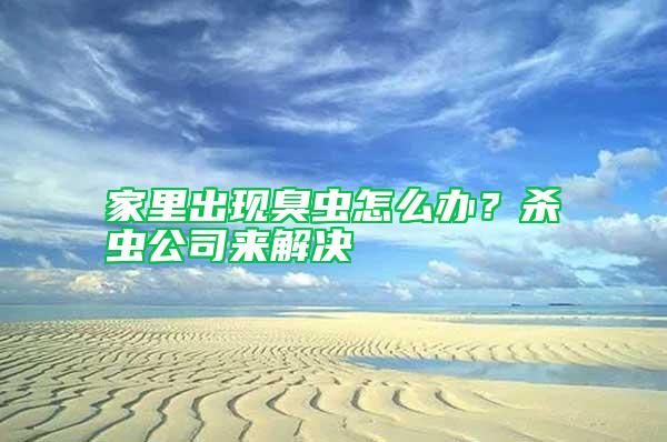 家里出現臭蟲怎么辦？殺蟲公司來解決