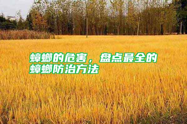 蟑螂的危害，盤點(diǎn)最全的蟑螂防治方法