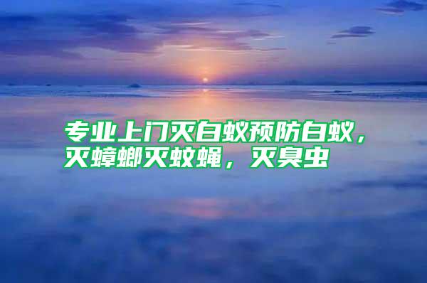 專業(yè)上門滅白蟻預(yù)防白蟻，滅蟑螂滅蚊蠅，滅臭蟲