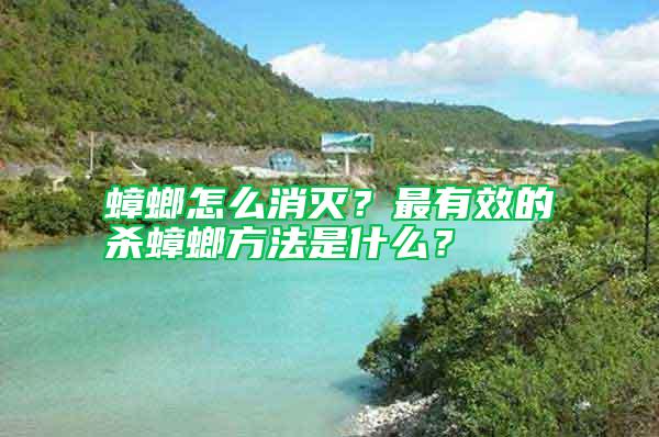 蟑螂怎么消滅？最有效的殺蟑螂方法是什么？