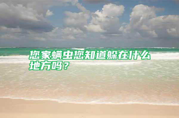 您家螨蟲(chóng)您知道躲在什么地方嗎？