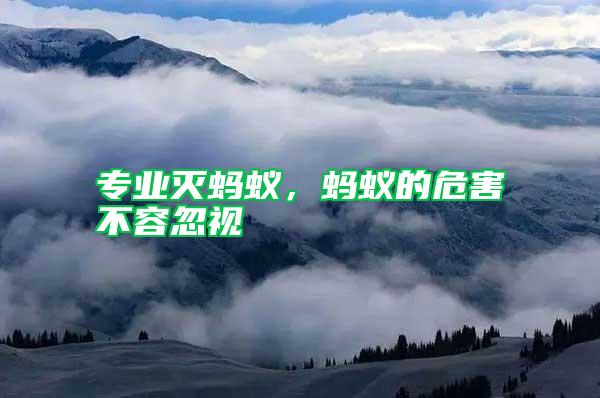 專業滅螞蟻，螞蟻的危害不容忽視