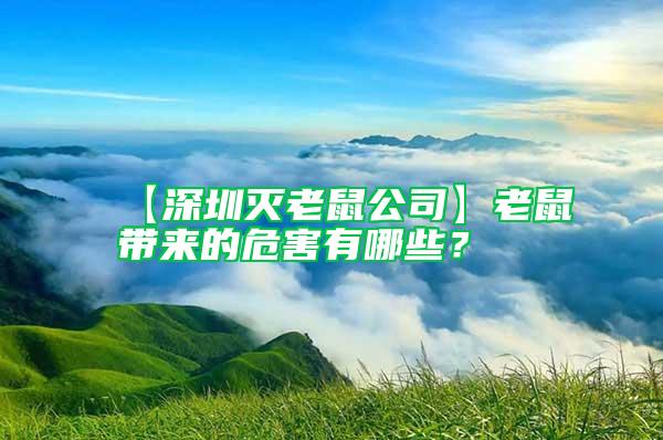 【深圳滅老鼠公司】老鼠帶來的危害有哪些？